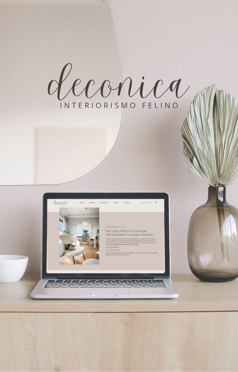 Proyecto Deconica